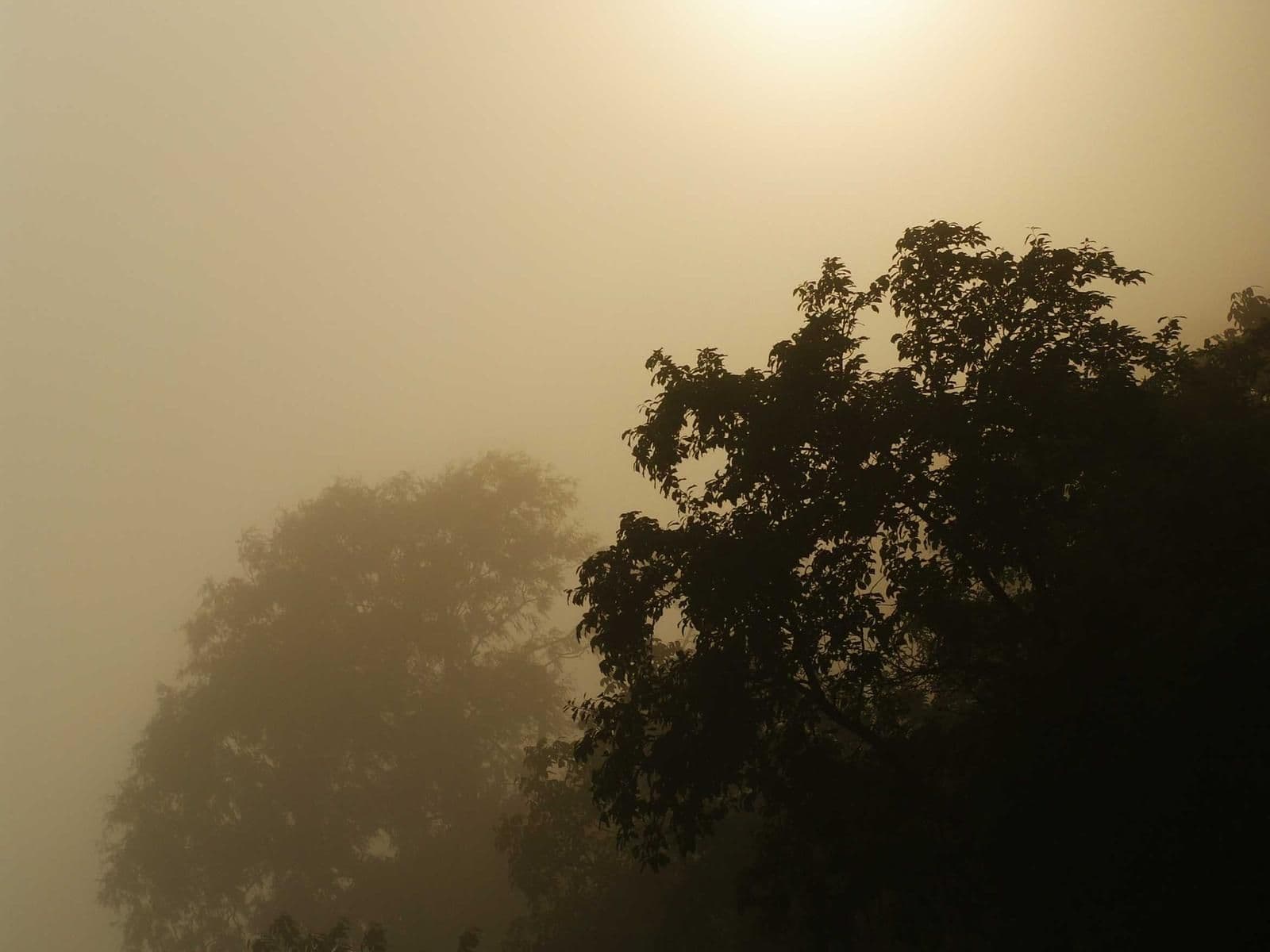 Illustration Béton ciré Solidro — Atelier Déco 03