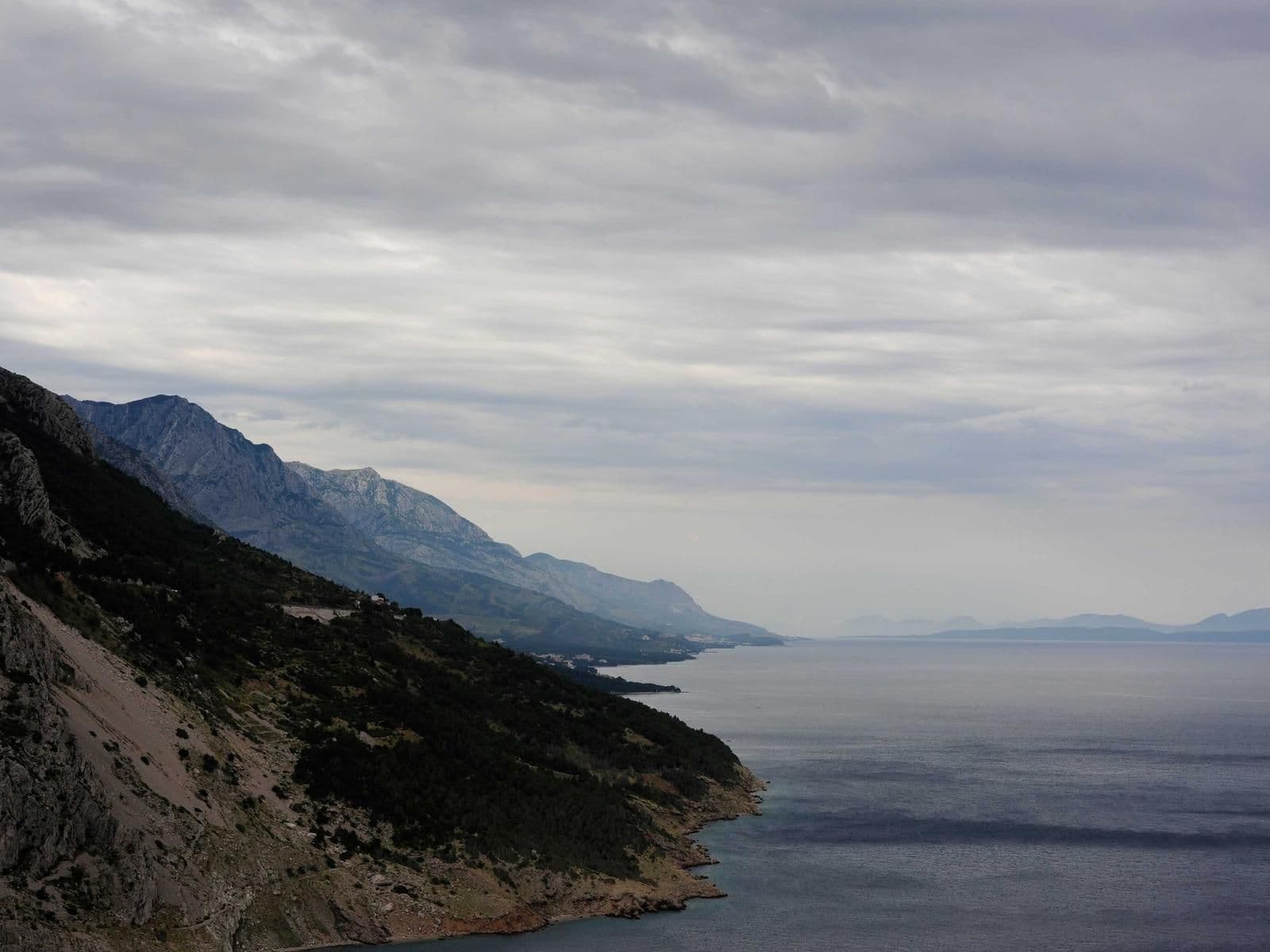 Illustration Papier peint panoramique — Atelier Déco 03