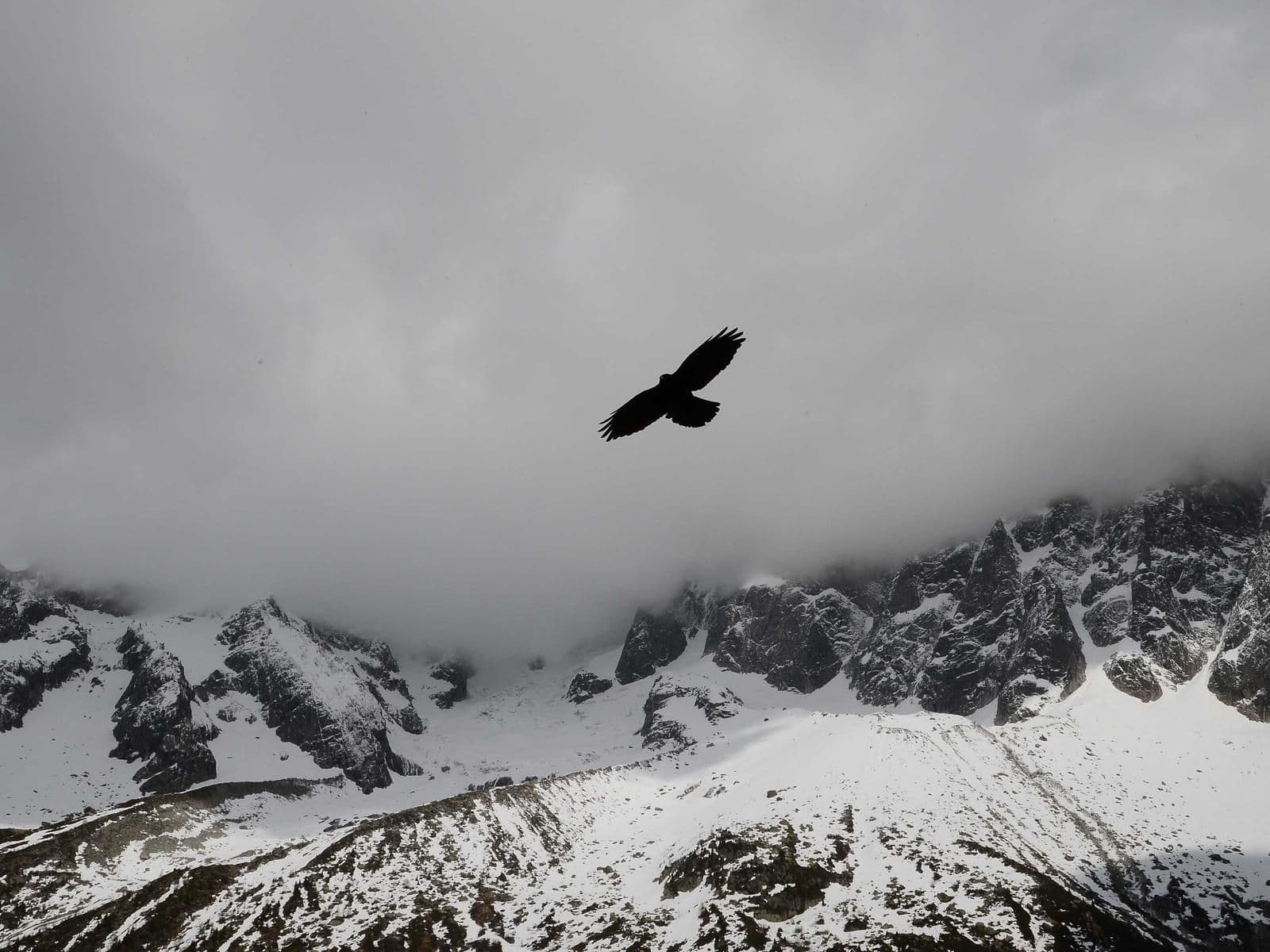 Entrée de maison en tapis de pierre — Allier (03)