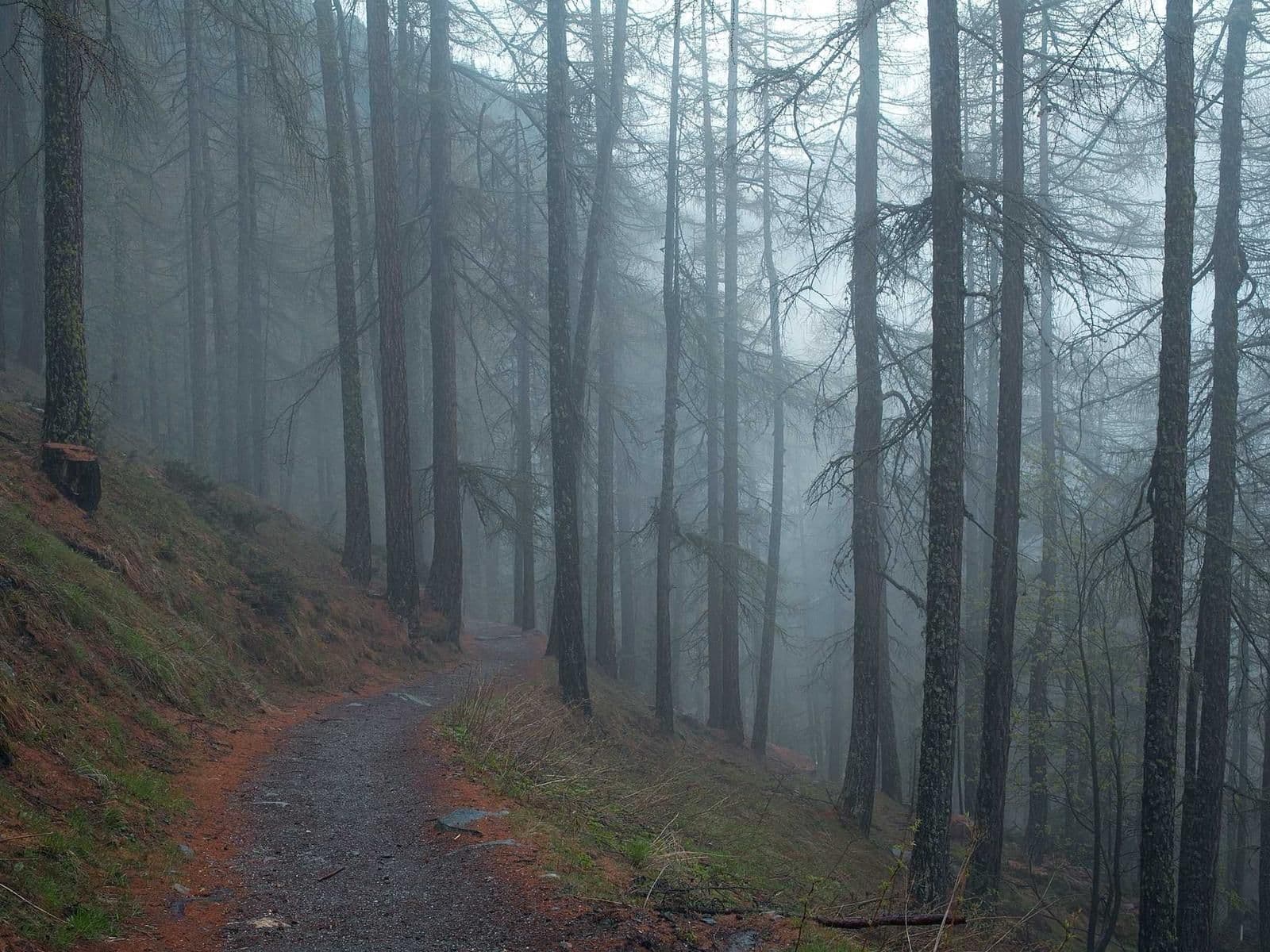 Rénovation de volets en bois peints au pistolet — Allier (03)
